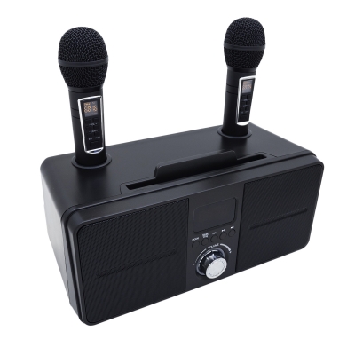 Беспроводная Bluetooth караоке система SD-309 с микрофонами-2