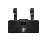 Беспроводная Bluetooth караоке система SD-309 с микрофонами