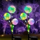 Садовые уличные светильники на солнечной батарее Dandelions, 2 шт